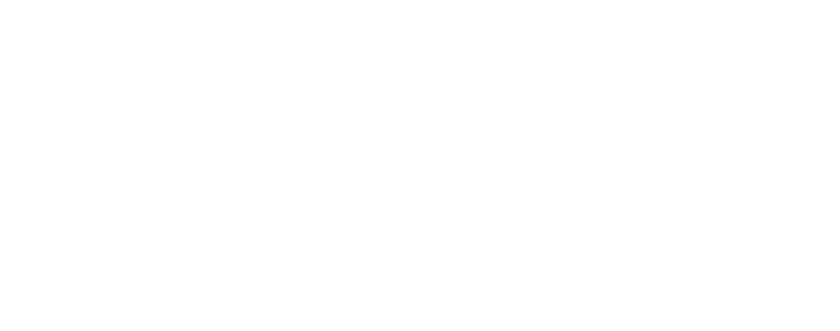 VandS Clinic Nampo Logo