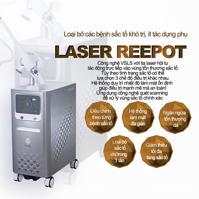 Laser Reepot - VandS Nampo